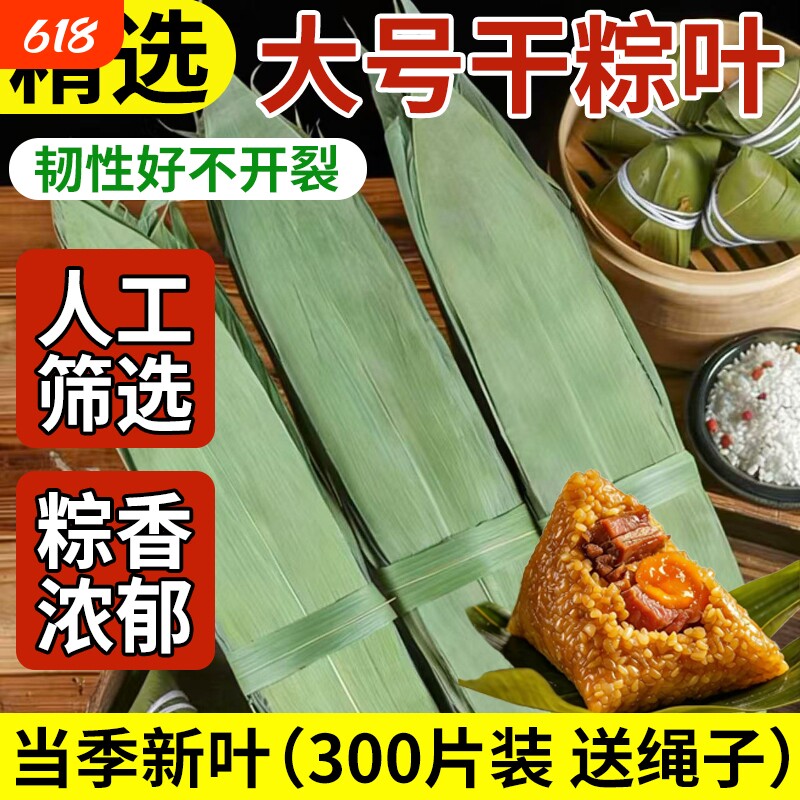 粽子叶粽叶干大号棕叶新鲜包粽子的竹叶子干粽叶商用箬叶批发材料