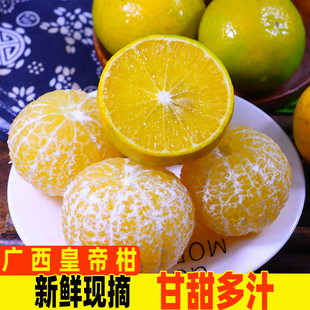 皇帝柑贡柑正宗新鲜应季水果现摘酸甜青皮柑橘桔子蜜桔整箱批发