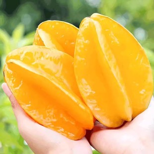 福建漳州甜杨桃新鲜水果应当季洋桃红扬桃五角星阳桃整箱发货