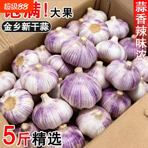 2026年金乡新干蒜大蒜头干大蒜
