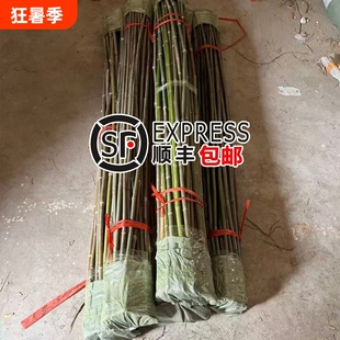 竹竿菜园搭架蔬菜黄瓜番茄豆角架杆竹篱笆小竹子细竹竿爬藤架围栏