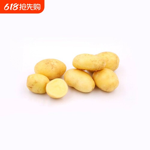 农家今年新黄心土豆新鲜现挖