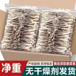古田鹿茸菇干货装鹿茸菌非特级特产菇煲汤材香菇俏美味营养