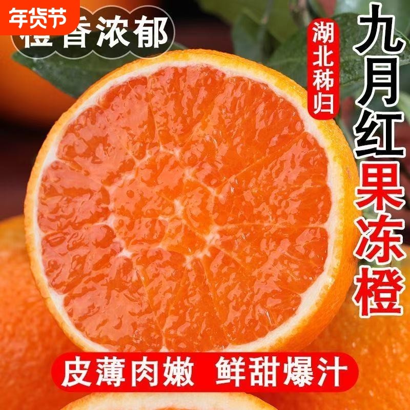 【当季新品】秭归九月红清甜爆汁果冻橙新鲜采摘果园现摘现发,水产肉类/新鲜蔬果/熟食,橙,淘宝优惠券,粉丝福利购,淘宝优惠卷