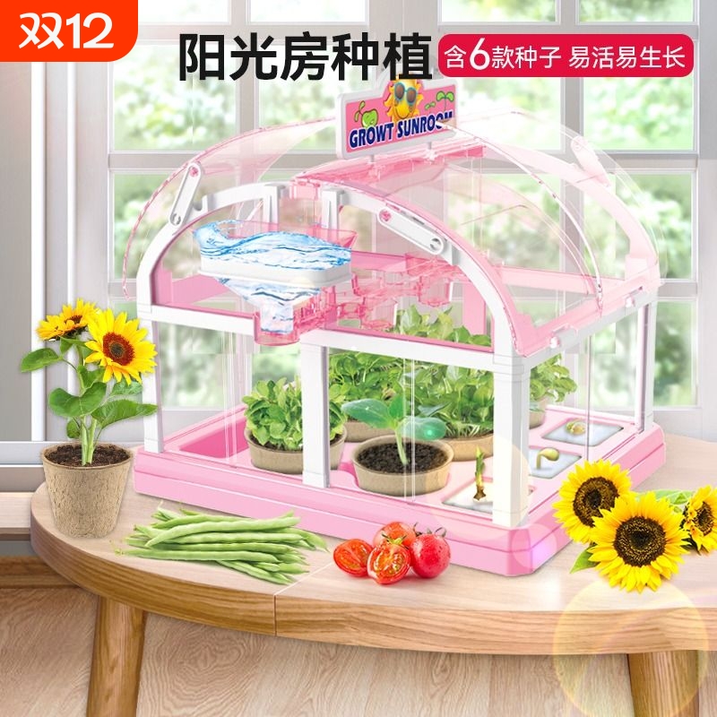 儿童阳光房种植观察盒小学生