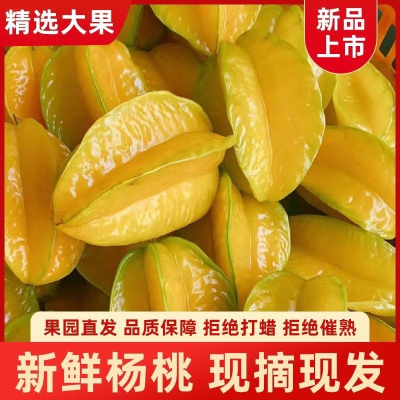 广东茂名甜杨桃5斤新鲜现摘洋桃当季孕妇水果五角星阳桃包邮大果,水产肉类/新鲜蔬果/熟食,杨桃,淘宝优惠券,粉丝福利购,淘宝优惠卷