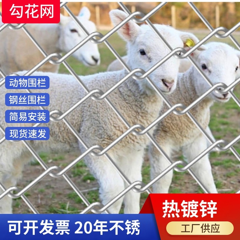 养殖勾花网养狗钢丝网菜园