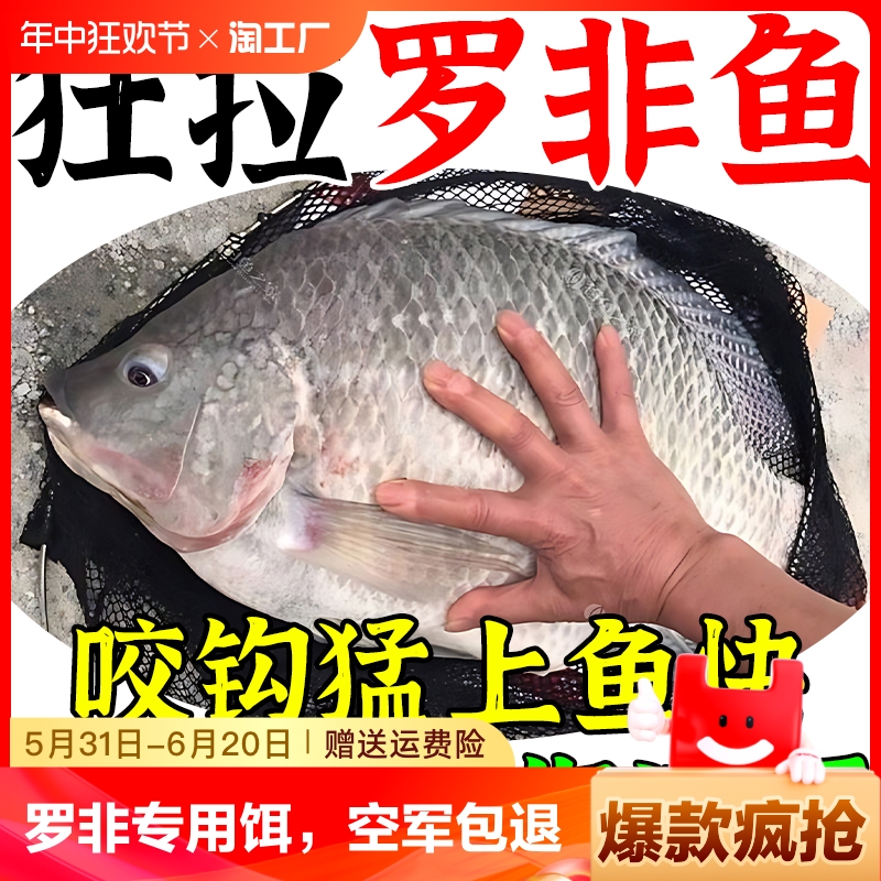 钓罗非鱼专用饵料小药打窝料野钓大罗非鱼饵虾腥香肝腥味黑坑溪流 户外/登山/野营/旅行用品 活饵/谷麦饵等饵料 原图主图