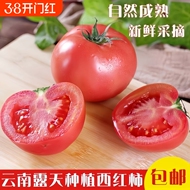 沙瓤西红柿新鲜自然熟生吃小西红柿水果番茄蔬菜大粉柿子包邮自提