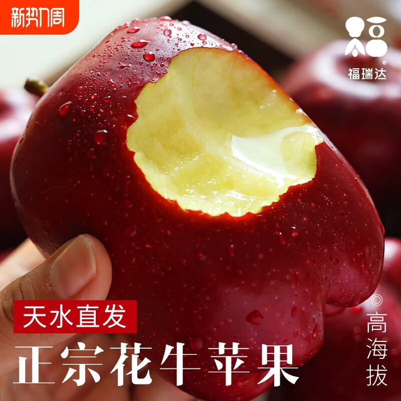 花牛苹果正宗甘肃天水10斤水果新鲜整箱当季糖心红蛇粉面丑平安果