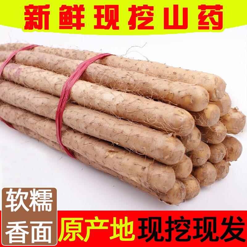 正宗新鲜淮山药3/5斤粉糯小白嘴铁杆山药当季蔬菜整箱包邮