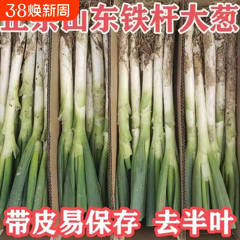 正宗山东大葱新鲜蘸酱甜葱香葱铁杆大葱新鲜蔬菜大葱带皮去半叶