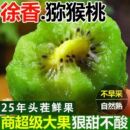 彩箱徐香猕猴桃陕西宝鸡眉县当季 新鲜水果奇异果孕妇水果新鲜水果