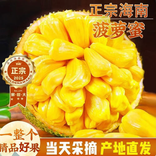 海南黄肉菠萝蜜新鲜采摘整个包邮