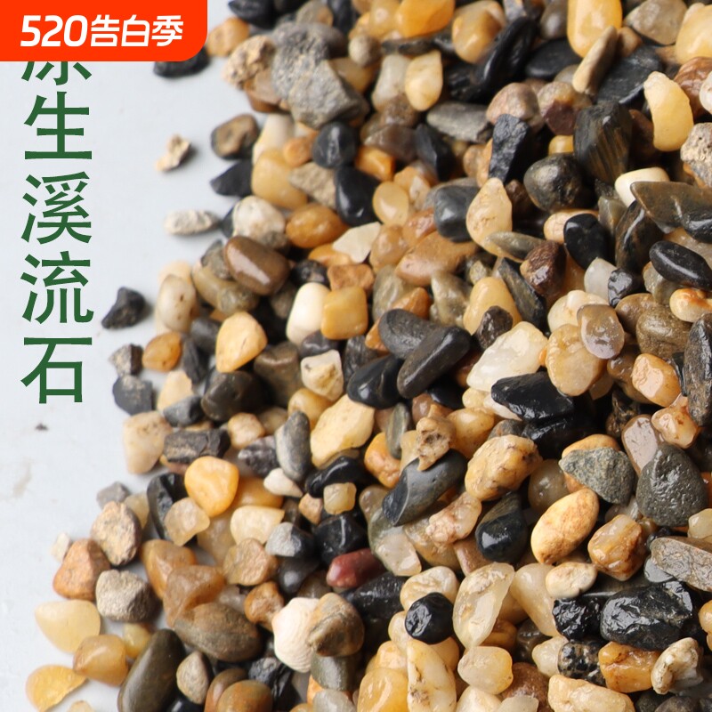 天然河沙溪流石鹅卵石原生水族鱼缸水草缸多肉铺面小石子过滤豆石
