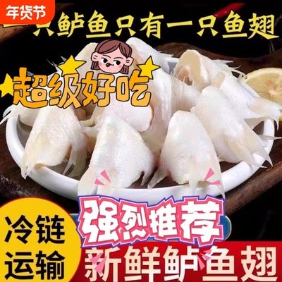 冷冻新鲜海鲈鱼翅新鲜
