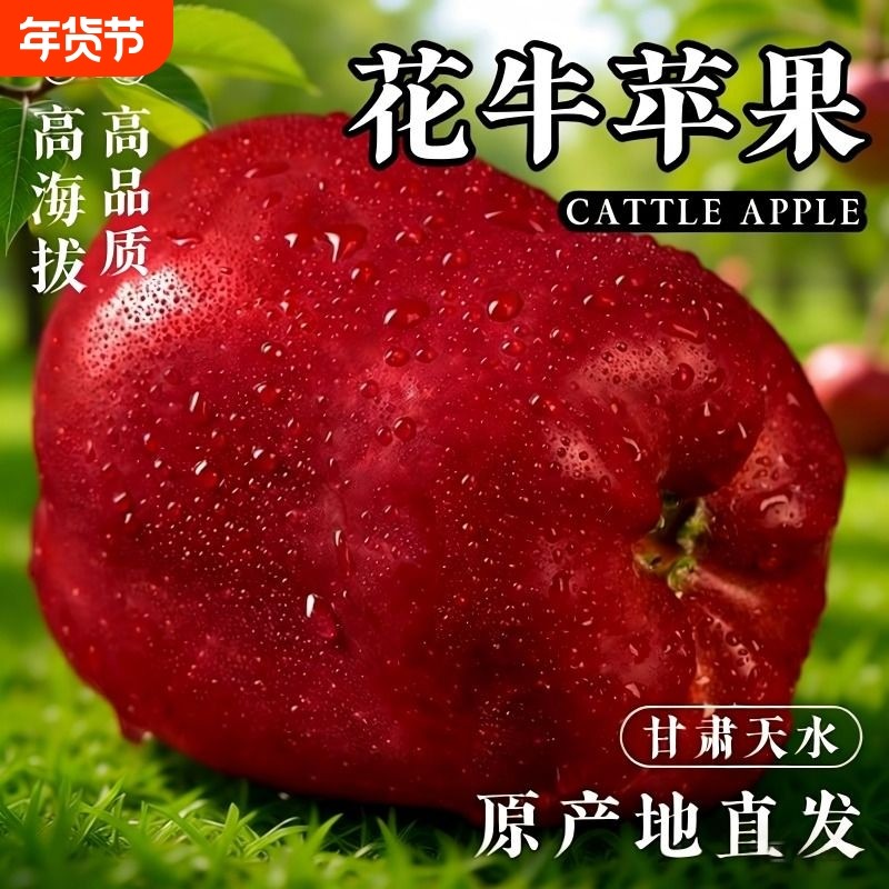 甘肃花牛苹果水果平果粉面丑果孕妇包邮应季高原新鲜水年货节天水,水产肉类/新鲜蔬果/熟食,苹果,淘宝优惠券,粉丝福利购,淘宝优惠卷