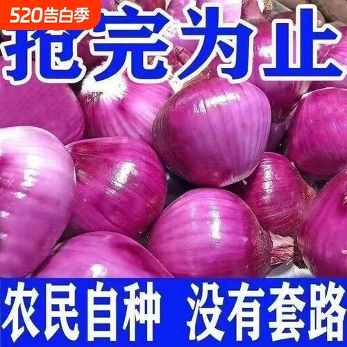 当季新鲜水果洋葱9斤脆甜生吃