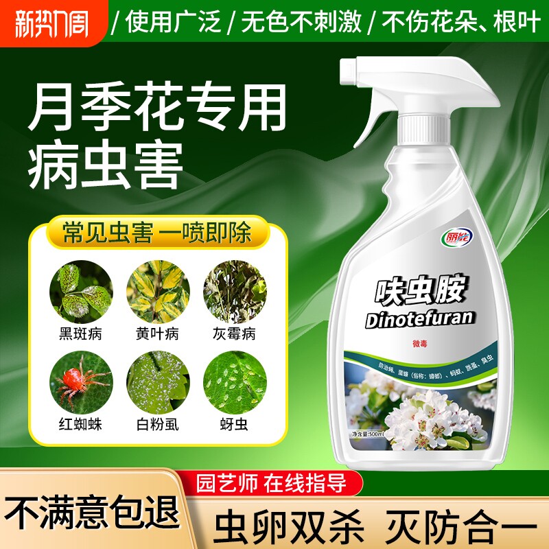 杀虫药花卉植物月季花病虫害除蚜虫非红蜘蛛绿植专用杀虫剂呋虫胺