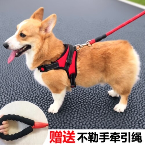 狗背带狗狗牵引绳胸背带中型犬遛狗拉布拉多柯基小型犬不勒脖脖子