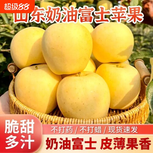 山东正宗黄金奶油富士苹果脆甜薄皮奶油味新鲜苹果纯天然孕妇水果