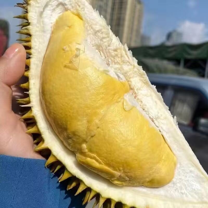 泰国进口正宗金枕榴莲A果树熟榴莲干包软糯整箱顺丰包邮新鲜果肉