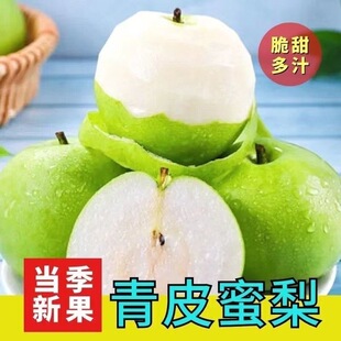 无核青皮梨子新鲜水果翠玉蜜梨当季翠冠梨脆甜多汁酥梨