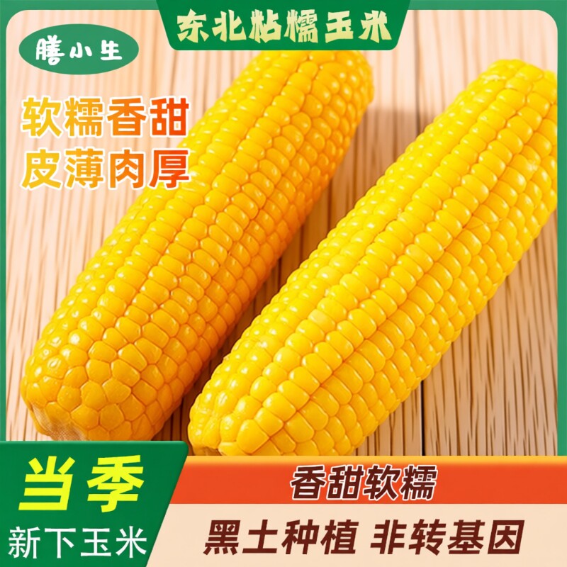 黄糯玉米棒现摘东北黄真新鲜甜玉米粒粘香甜包邮粗粮年货真空当季