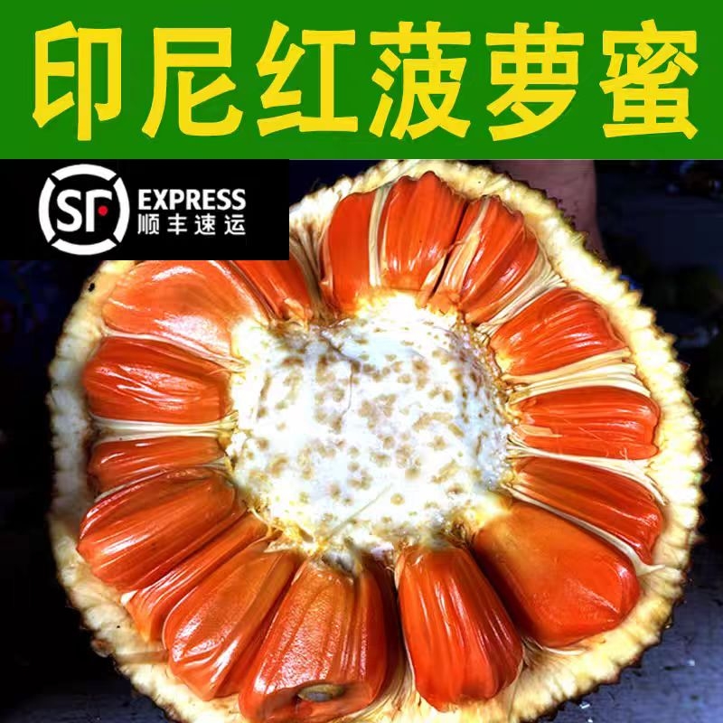 顺丰包邮正宗印尼红肉菠萝蜜纯红心波罗甜脆当季新鲜水果稀有果肉