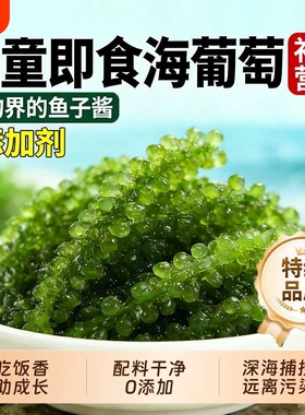 海葡萄新鲜即食海带零食泡发网红爆海洋蔬菜植物绿色鱼子酱凉拌菜