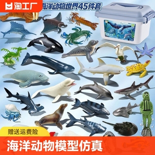 仿真海洋动物模型玩具儿童海底世界生物鲨鱼鲸鱼海豚海龟玩偶礼物