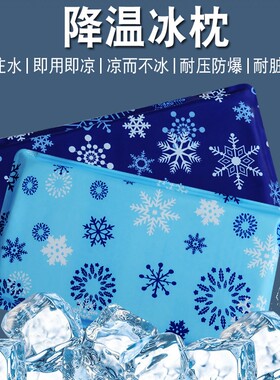 奢型pvc免注水冰枕降温冰垫冰枕
