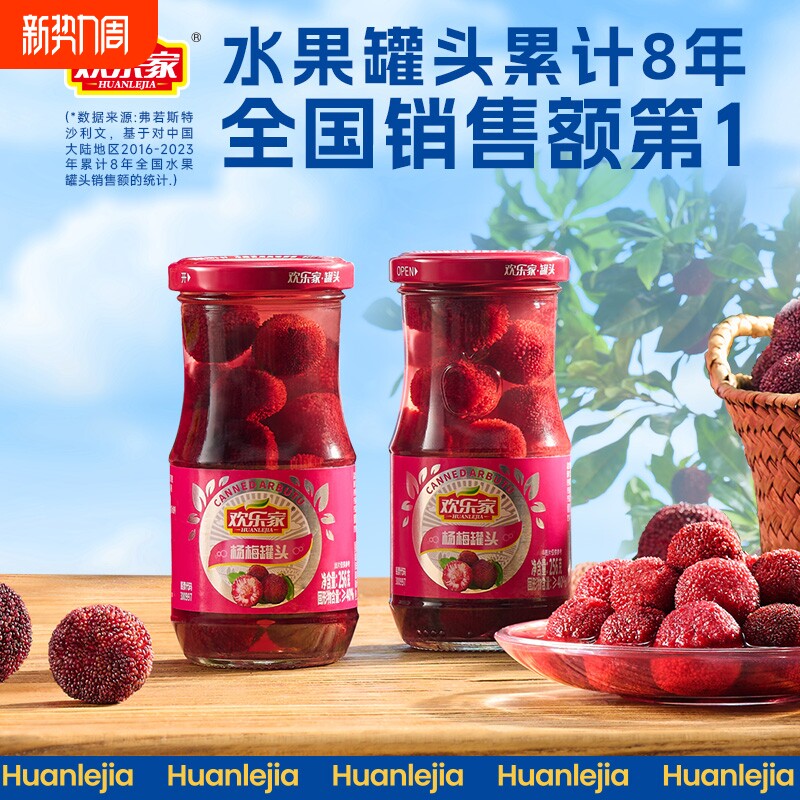 欢乐家 杨梅罐头256g*6瓶  糖水杨梅果肉水果罐头 休闲零食