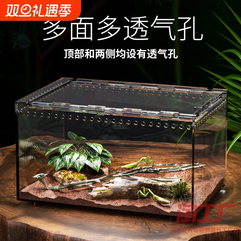 树栖箱全景爬虫缸蜥蜴睫角守宫独角仙蜘蛛蛇蜗牛巴西龟甲虫饲养盒