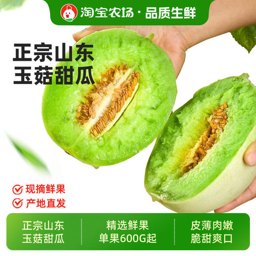 山东特产冰淇淋玉菇甜瓜孕妇新鲜水果当季香瓜蜜瓜整箱包邮农场