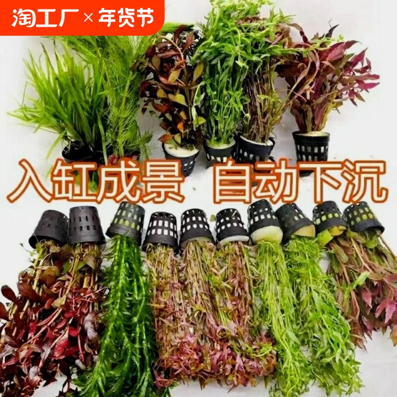 �첨 1���ͳ��ױ� ����쾰ֲ��װ����ˮ�ݲ�ˮ���ײͺ����ͻ�ˮ�۳��׾Źڸ�Ƽ����