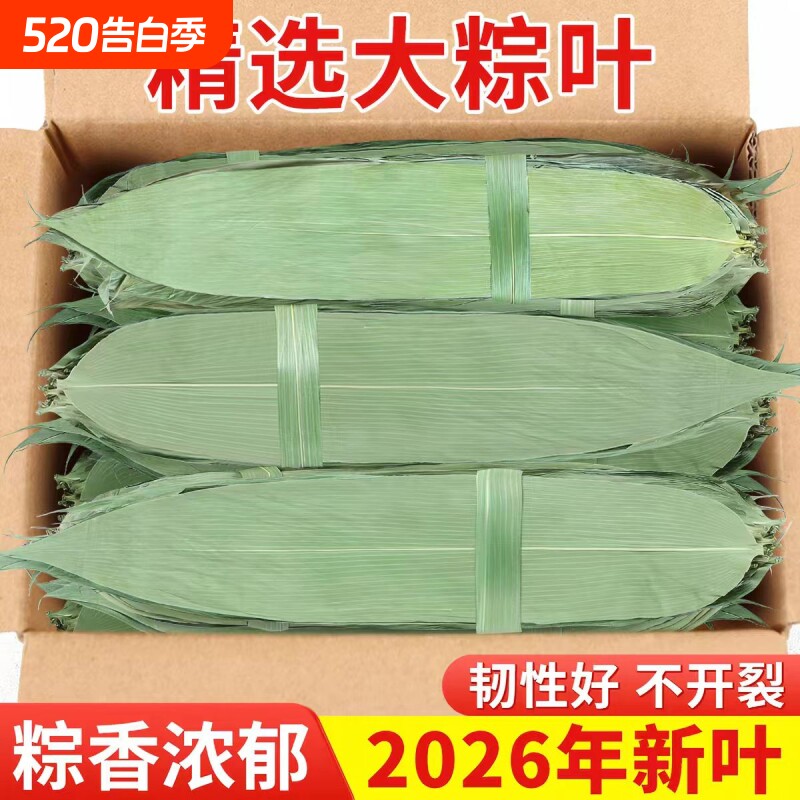 粽子叶干正宗新鲜包粽子专用的大号野生竹箬端午老式材料商批发款
