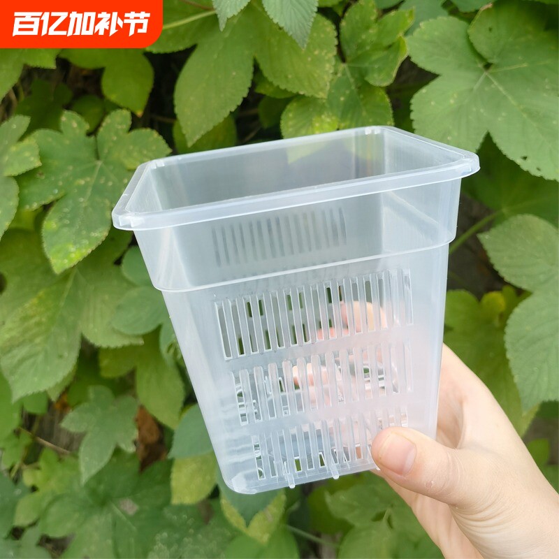 兰花盆栽方盆加厚透气塑料花盆控根盆蝴蝶兰定植篮水培桌面种花