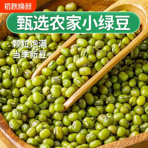 新绿豆小绿豆中小粒绿豆芽绿豆汤发芽绿豆糕批发食用小颗粒半斤