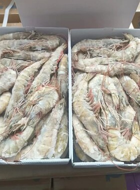 大虾鲜活速冻基围虾盐冻海虾白虾厄瓜多尔南美对虾类海鲜水产冷冻