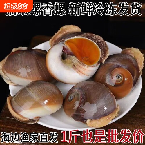 鲜活香螺小香螺野生沙螺鲜活猫眼螺大沙螺大香螺肚脐螺扁玉螺海鲜