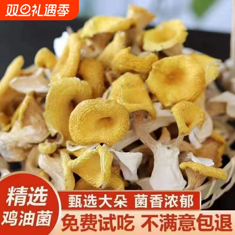 头茬新货鸡油菌免费试吃