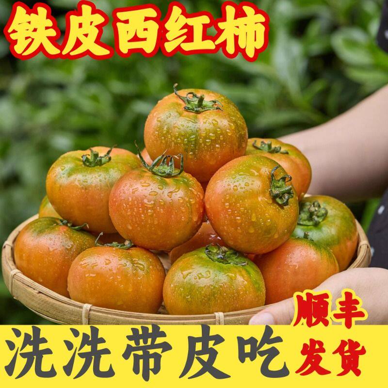 顺丰包邮东北铁皮番茄丹东草莓柿子碱地新鲜水果盘锦西红柿子生吃,水产肉类/新鲜蔬果/熟食,番茄,淘宝优惠券,粉丝福利购,淘宝优惠卷
