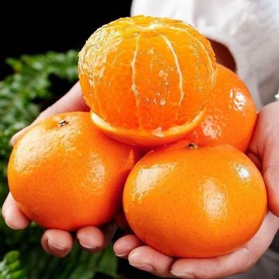 广西沃柑3/5/9斤薄皮易剥纯甜多汁当季新鲜水果产地直发无中间商