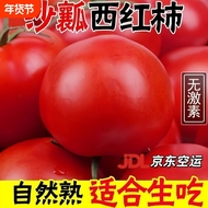 正宗沙瓤番茄商超品质沙瓤西红柿5斤小果自然熟生吃蔬菜水果番茄