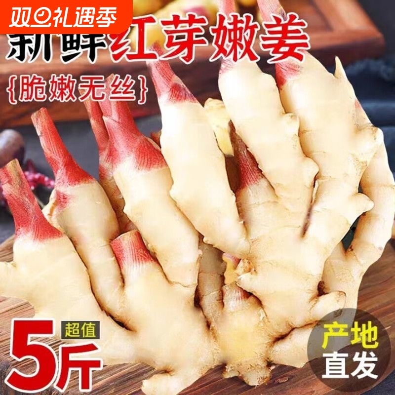 红芽嫩姜鲜嫩辛辣营养好吃