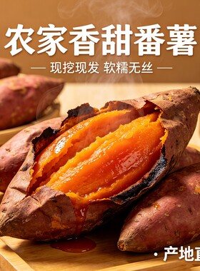 红薯新鲜番薯蜜薯板栗沙地糖心农家自种烟薯香薯现发贵州西瓜软糯