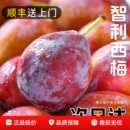 整箱健身孕妇现摘现发 智利进口西梅新鲜水果5斤脆甜李子大果当季