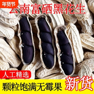富硒黑花生带壳2025新货云南普洱特产晒干生熟花生米炒货七彩年货