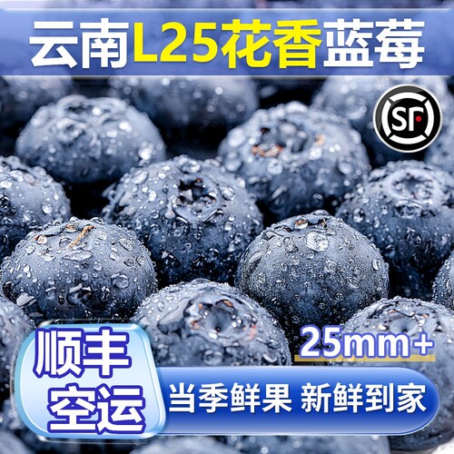 云南蓝莓鲜果特大礼盒高山新鲜水果应当季整箱孕妇水果特大颗顺丰